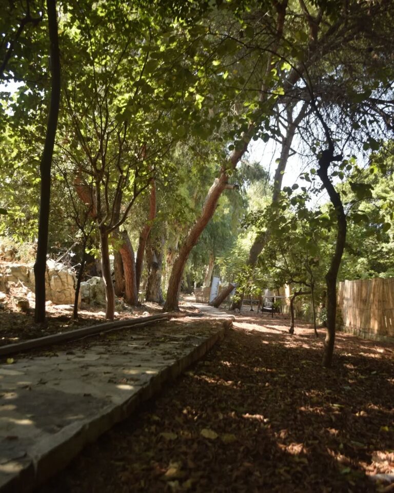 resort camp amchit 5 768x960